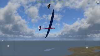 Soaring with eagles in PicaSim