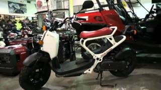 2012 Honda Ruckus