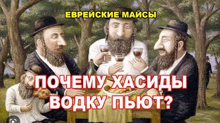 Почему хасиды водку пьют. Еврейские майсы