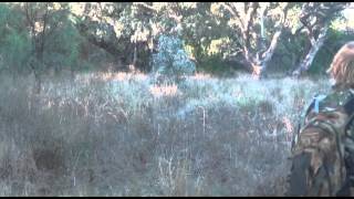 TG OUTDOORS AUSTRALIA - Pig Hunting In Queensland 2013