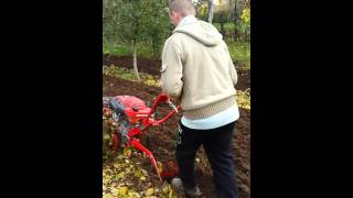 Robix 156 ch orba