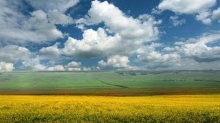 Природа Израиля. Компания Merlim Netvork