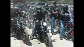 harley-davidson revving hard and loud at big wheels motoring cafe