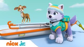 Щенячий патруль | Щенки спасают оленя | Nick Jr. Россия