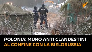 #Polonia: muro anti clandestini al confine con la Bielorussia