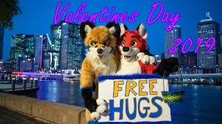 FREE HUGS 2019 - Valentine's Day Free Furry Hugs