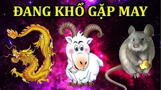 CHẤN ĐỘNG GIỚI TỬ VI, 3 CON GIÁP ĐANG KHỔ GẶP MAY, ĐỔI ĐỜI ĐẠI GIA, GIÀU CÓ NỨT VÁCH
