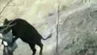 Fail Compilation