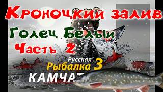 Кроноцкий залив/Голец белый/ Часть 2 /Редкие виды рыб/РР3 [ Русская рыбалка 3]