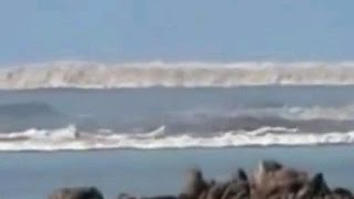 Tsunamiler