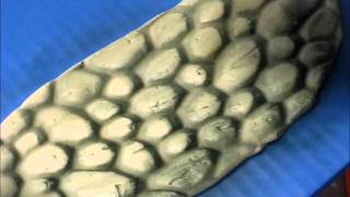Cobblestone Texture in Fondant--Plus Bonus Turtle Figure