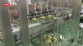 CASE PACKER PL 60 for Instant Noodles Meal Ролтон