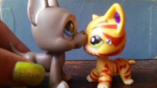 Lps:Mv Sad Song