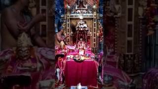 Teej Darshan from Bansheewala Mandir