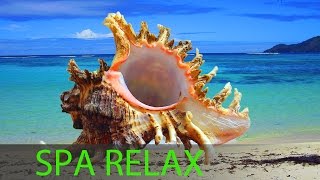 6 Hour Best Relaxing Spa Music, Background Music, Soothing Music, Massage Music ☯357
