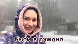РЫСЬКИ В ТУМАНЕ