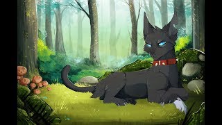 Коты Воители - Бич