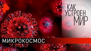 Микрокосмос. "Как устроен мир" с Тимофеем Баженовым (05.02.20).