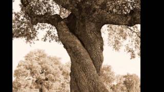 IECE - Todo se acaba