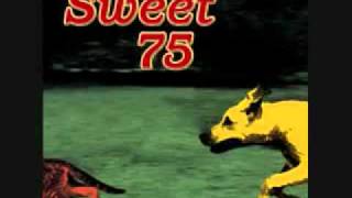 Sweet 75- Oral Health