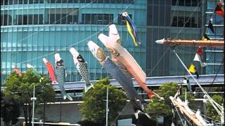 Koinobori (Carp Streamers) at Nippon Maru Memorial Park,Yokohama（日本丸 鯉のぼり）