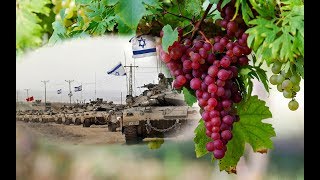 Temple Talk Radio: Slandering the Land of Israel: the Ultimate Sin Against G-d