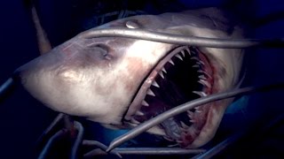 SHARK ATTACK!! Playstation VR Worlds Gameplay HD