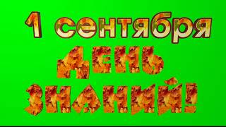 Футаж 1 сентября День знаний+ хромакей