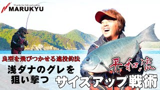 冴える！遠投浅ダナに勝機！平和卓也 新配合エサの食わせ力 日振島のグレ釣り 2日目
