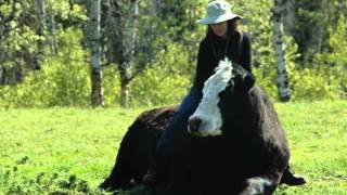 Horse Conscious Retreat