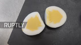 What the cluck! Swiss retail giant develops vegan alternative for hard-boiled egg in Zurich