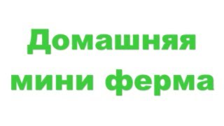 ? Домашняя мини ферма, домашняя мини ферма по выращиванию огурцов и помидоров ?