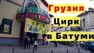 ГРУЗИЯ ЦИРК В БАТУМИ. ГРУЗИНСКИЙ ЦИРК. ДЕТИ ДОВОЛЬНЫ