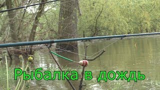 Рыбалка в дождь на течении. My fishing