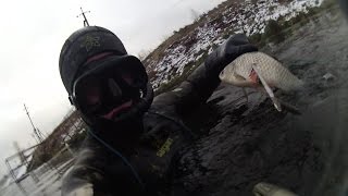 Подводная Охота 06.12.2014 " Волгореченск ГРЭС ".