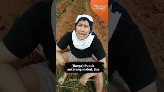 Kabar Gembira! KTT G20 Beri Hasil Nyata Bagi Pangan Dunia, Harga Pupuk Segera Turun?