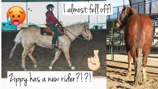 WEEK IN MY LIFE! Barrel race and riding Vlog! || Camo Cowgirl
