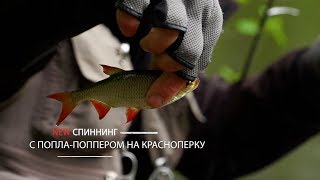С попла-поппером на красноперку [NEW Спиннинг №33]