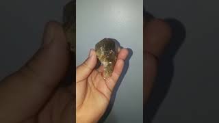 quartzo rutilado jpg4