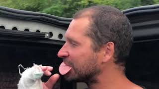 Абхазия 2018. Орел и решка.