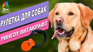 Рулетка для собак Рингоу Витакрафт | Обзор рулетки | Ringgo Vitakraft - Roulete for dogs review