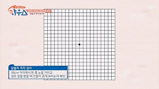 집에서 스스로 해보는 황반 변성 검사 ′암슬러 격자 테스트′ 하우스(HOWs) 13회