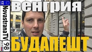 Как я съездил в Будапешт, Венгрия | Cat Cafe с #13 венгерскими кошками | NovastranaTV