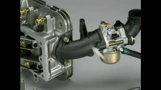 Аналіз поломок двигунів Briggs & Stratton