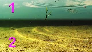 ПОКЛЕВКИ в разных видах. Рыбалка, Поплавочная удочка, подводные съемки, fishing, насадка опарыш.