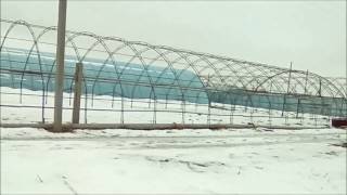 Виды теплиц