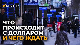 Нацбанк Кыргызстана о ситуации с курсом валют. Пресс-конференция