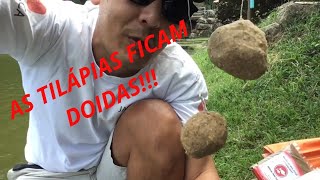 # 137          PESCARIA NO PESQUEIRO TAIPAS DE PEDRA 1     MASSA DO JAPA PESCA!!!