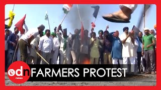 Indian Farmers Burn PM Modi's Effigy on 100th Day of Protests Against New Bill