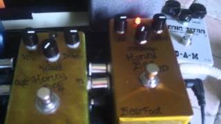 Honey Bee BJFe VS Bearfoot
